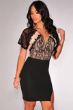 NUDE & BLACK LACE DRESS